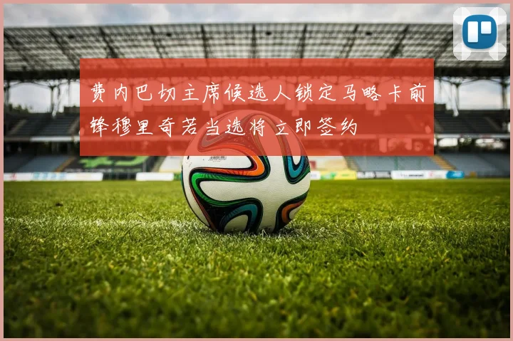 费内巴切主席候选人锁定马略卡前锋穆里奇若当选将立即签约