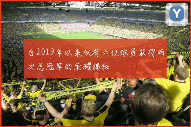 自2019年以来仅有六位球员获得两次总冠军的荣耀揭秘